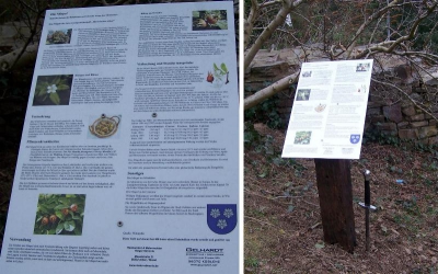 Iha Aktionen 20110106 1011858130